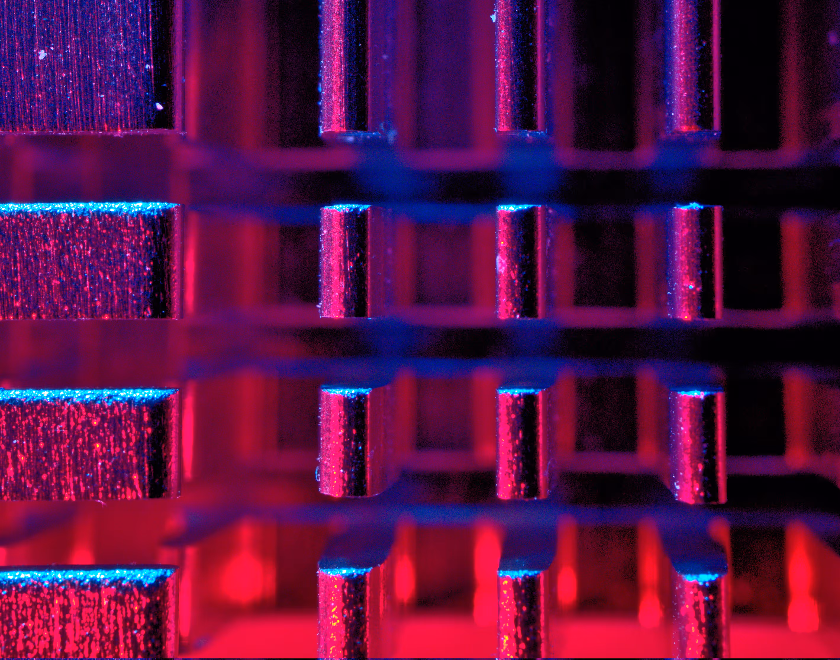 Revolutionizing Machine Learning with Explainable Algorithms: Introducing xplainable